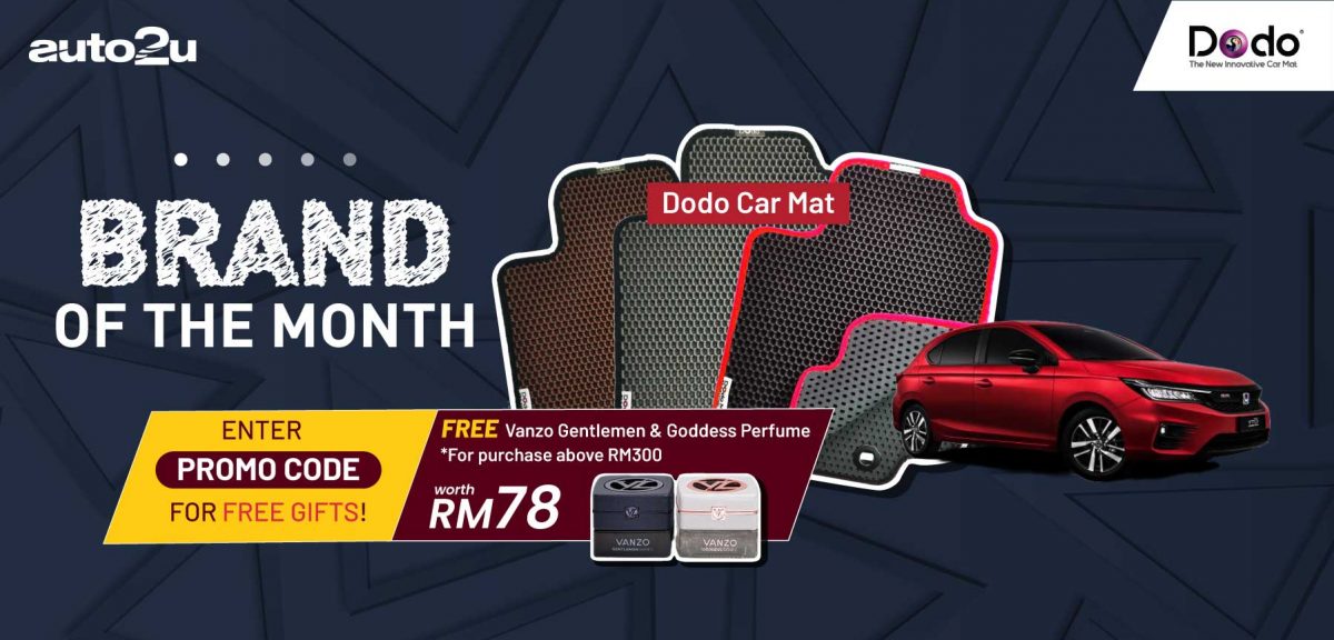 Dodo Car Mat