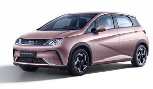 BYD Dolphin Premium Extended - (2021–present)