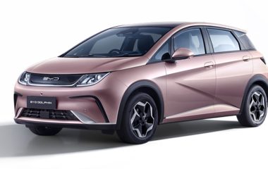 BYD Dolphin Premium Extended