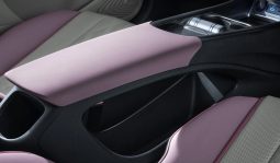 BYD Dolphin Dynamic Standard full