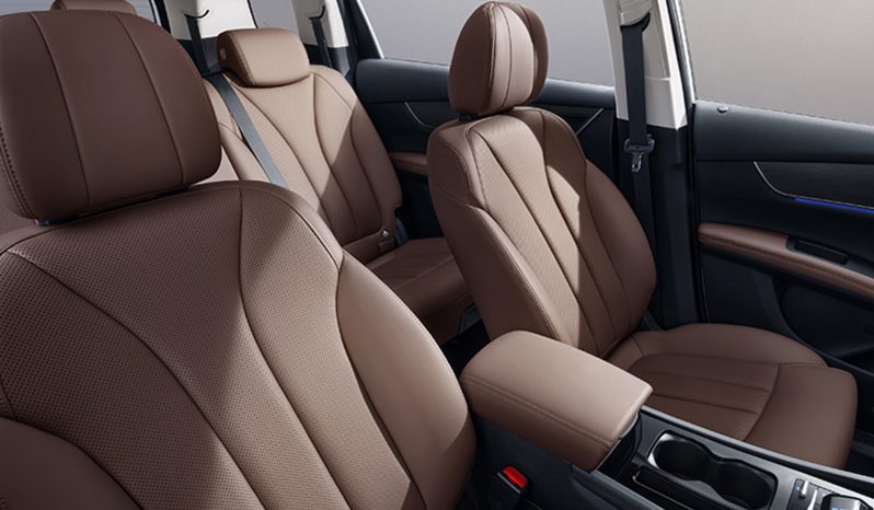BYD M6 Extended full
