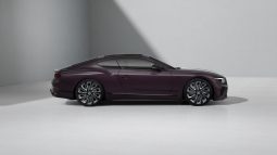 Bentley Continental GT Mulliner* full