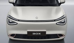 Dongfeng BOX E2 full
