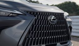 Lexus NX 350h Luxury full