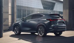 Lexus NX 350h Luxury full