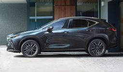 Lexus NX 350h Luxury full