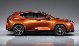 Lexus NX 350h Luxury full