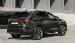 Lexus NX 350h Luxury full