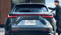 Lexus NX 350h Luxury full