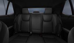 Lexus RZ 450e Luxury full