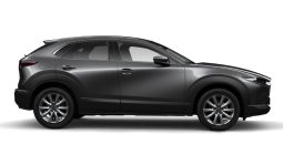 Mazda CX-30 2.0G High+ Premium full