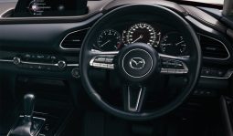 Mazda CX-30 2.0G full