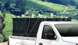 Nissan Navara 2.5L Single Cab full