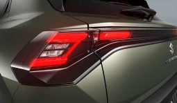 Suzuki eVitara full